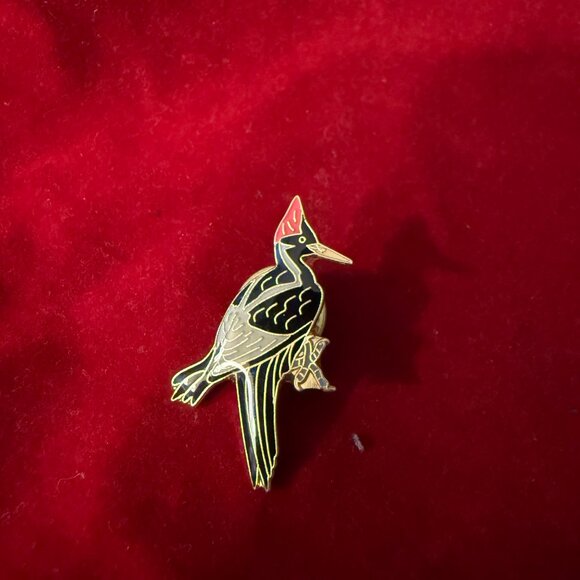 Ivory-Billed Woodpecker Vintage Enamel Cloisonné Lapel Pin - Picture 3 of 3